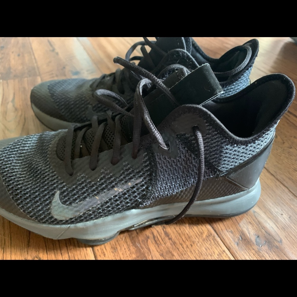 Mens Lebron James The Lion Nike Tennis Shoes Gem